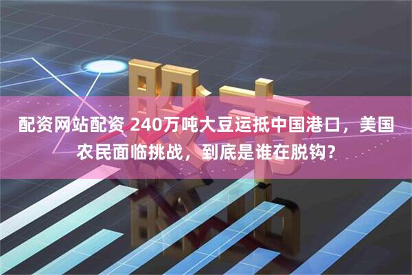 配资网站配资 240万吨大豆运抵中国港口，美国农民面临挑战，到底是谁在脱钩？
