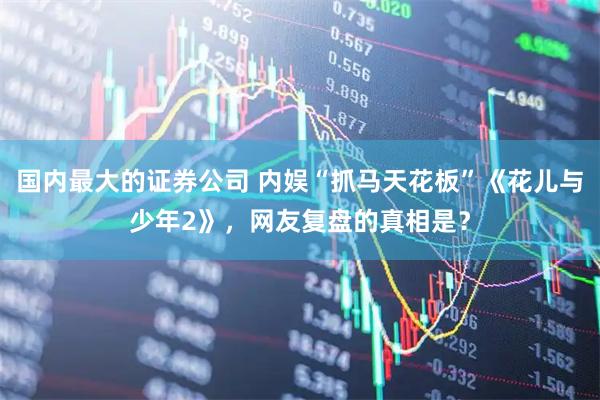 国内最大的证券公司 内娱“抓马天花板”《花儿与少年2》，网友复盘的真相是？